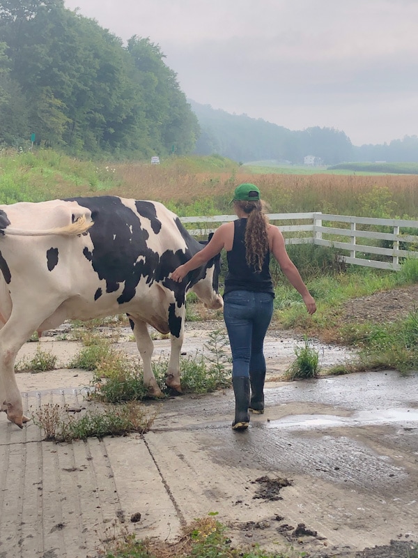 Farm Chores for Kids: 6 Tips to Help You